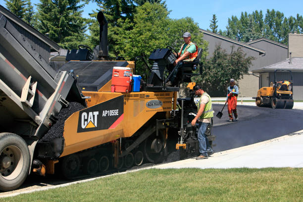 Best Custom Driveway Pavers  in Lepanto, AR